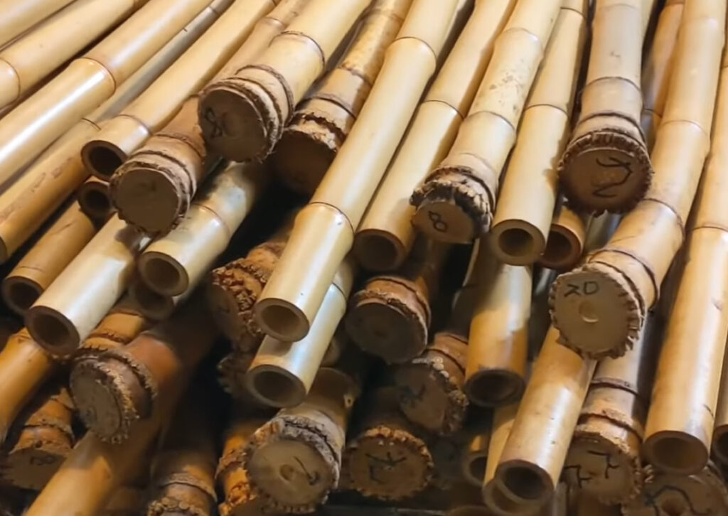 Japanese Madake bamboo for shakuhachi