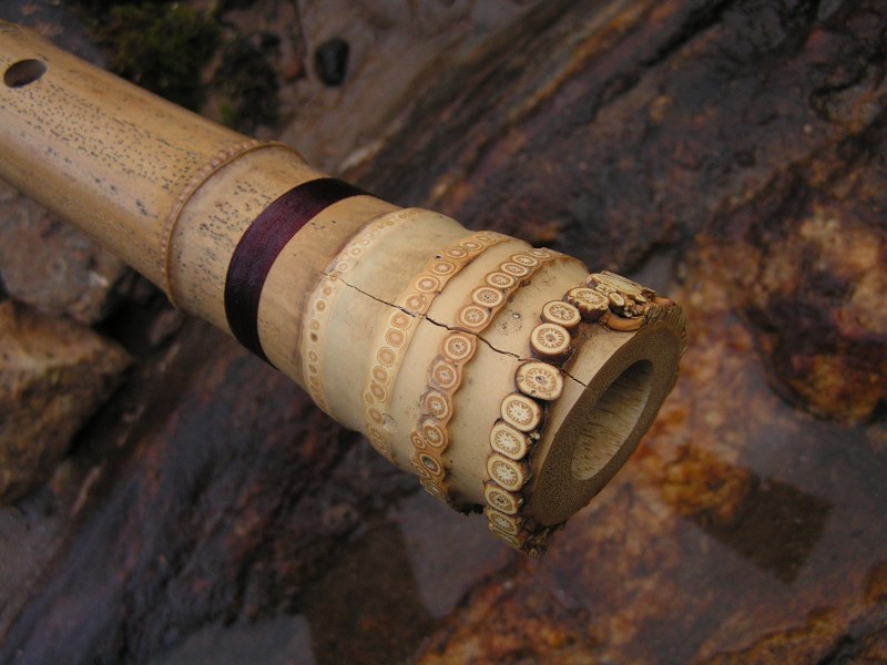 2.4 goma shakuhachi root end, 2012, NC