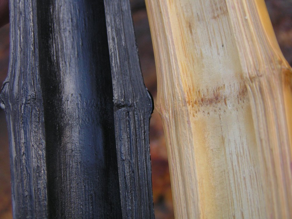 Example of silicone molding and casting results for Bell Shakuhachi which copies the finest details of the bamboo texture close