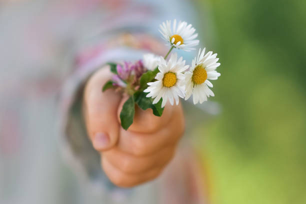 flower hand gift