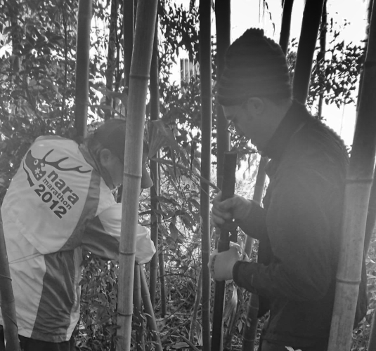 Digging Madaké bamboo in Nara, Japan (the gentleman to my left is the land owner), 2019