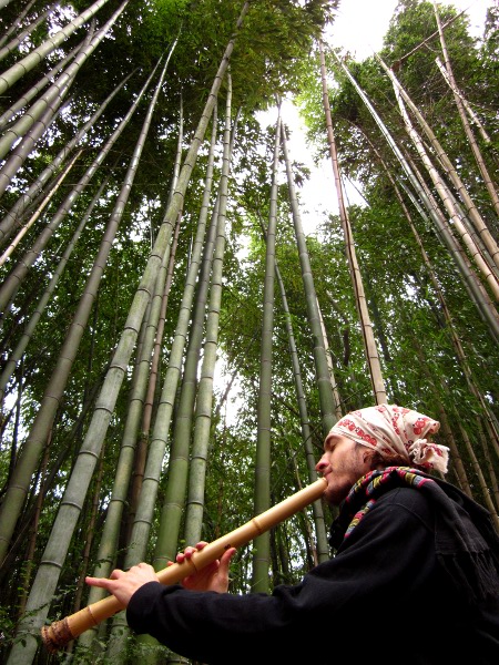 Playing shakuhachi in front of giant Madaké bamboo, 2010