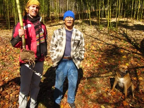 Holding a piece of freshly harvested root end Madaké bamboo next to Keiji Oshima, 2012, NC