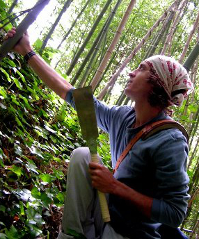 Me in my first North American Japanese Madaké bamboo grove, Virginia, 2009