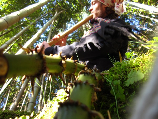 Josen playing shakuhachi by visible Madaké bamboo rhizomes, 2010