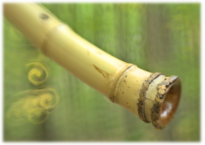 shakuhachi root end home age