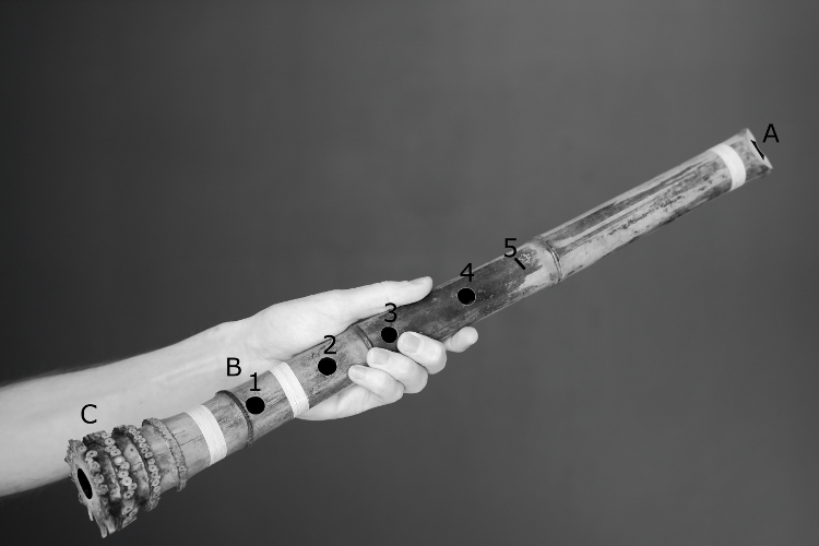 Shakuhachi diagram: A - utaguchi 歌口 'song mouth' or blowing edge and chin rest area. Finger-holes: 一 ichi 1, 二 ni 2, 三 san 3, 四 shi/yon 4, 五 go 5th thumb hole on back. B - the first node. C - root end and bottom opening which voices Ro ロ or the fundamental/tonic/key, i.e., the lowest/deepest note of the shakuhachi.